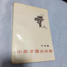 小荷才露尖尖角