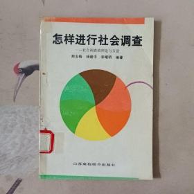 怎样进行社会调查   社会调查的理里论与方法