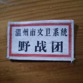 温州市文卫系统野战团