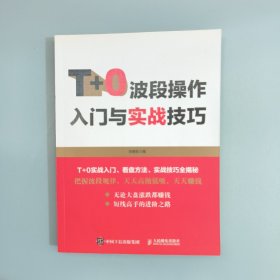 T+0波段操作入门与实战技巧