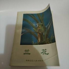 兰花（85品小32有封面有折痕书名页有1987年文山购买字迹封面封底自然卷角前4页有圈点勾画笔迹1987年1版2印27450册231页16万字内有多幅沈渊如黑白兰花照片参看书影末附彩色插页16页）51891