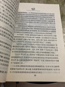 思林百年社会变迁:壮汉文化互动与交流