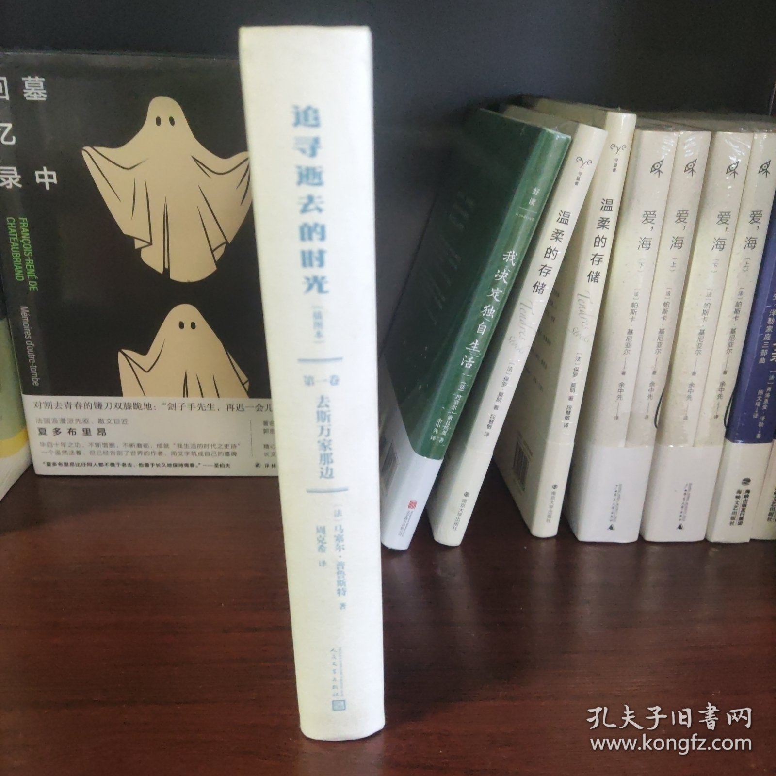 追寻逝去的时光第一卷去斯万家那边