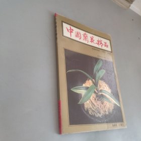 中国兰花精品