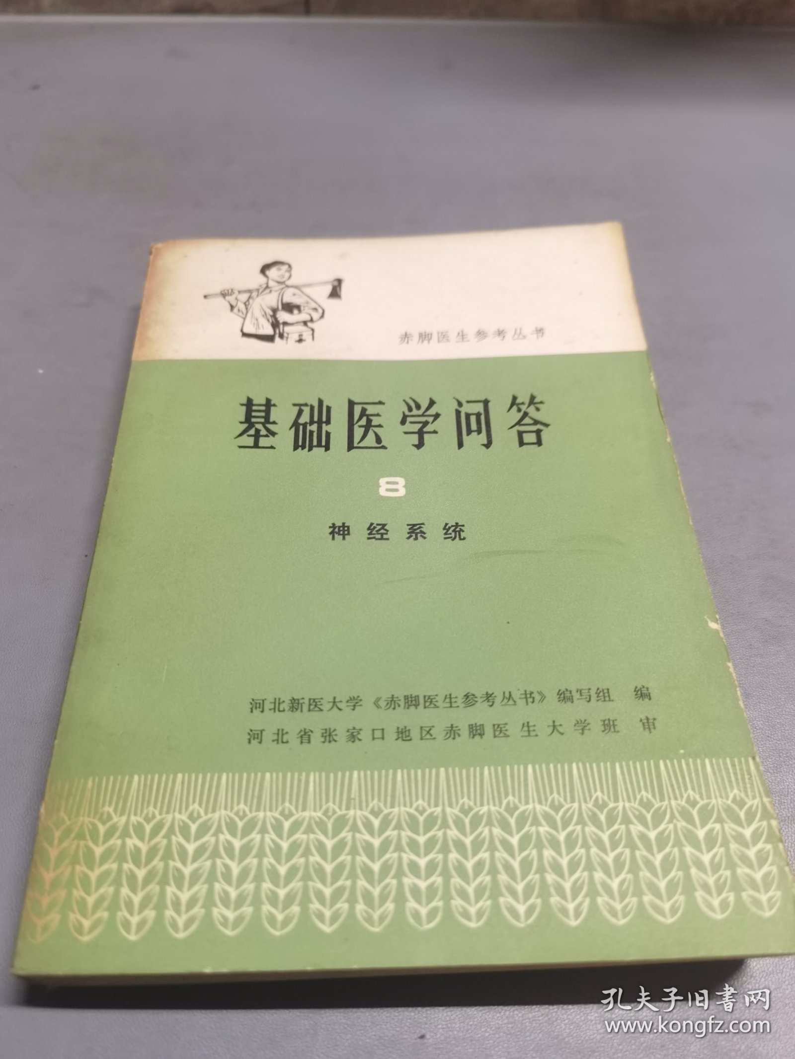 基础医学问答（8）神经系统