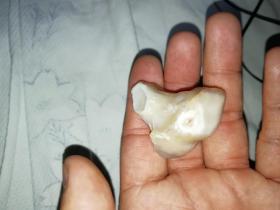 戈壁滩天然形成的骨头关节玛瑙奇石