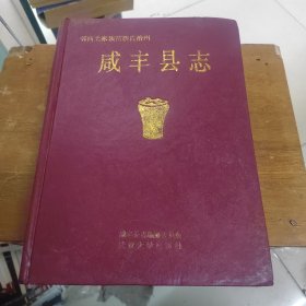 咸丰县志