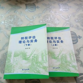 纳税评估理论与实务（套装上下册）