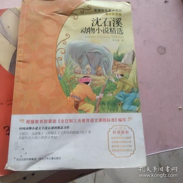 沈石溪动物小说精选