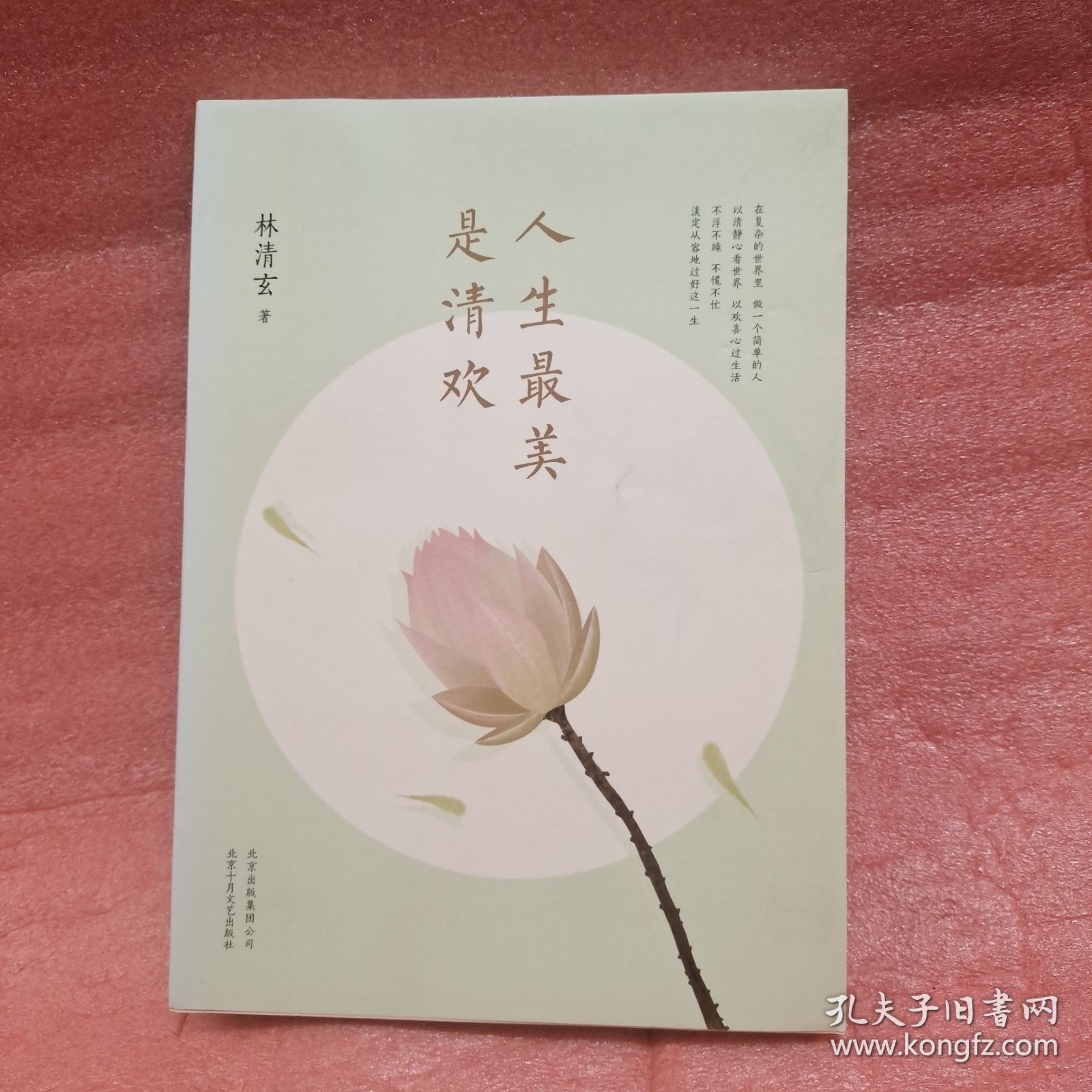 人生最美是清欢：林清玄经典散文集，执笔45周年白金纪念版