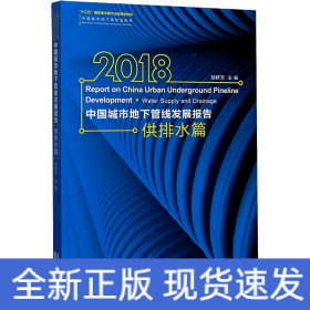 2018中国城市地下管线发展报告 供排水篇