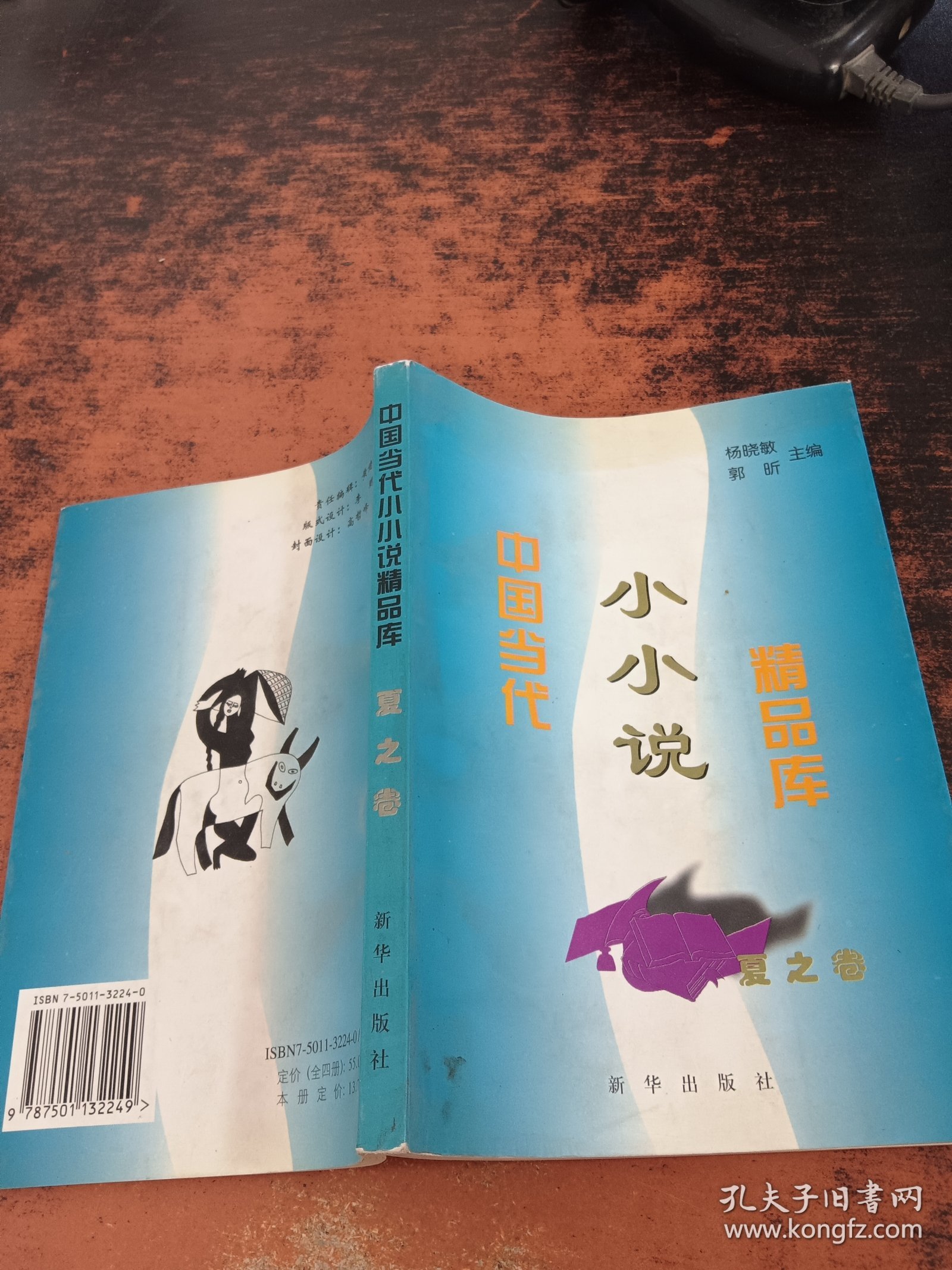 中国当代小小说精品库 夏之卷