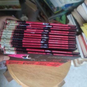 中国魅力丛书 13册合售