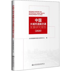 中国大城市道路交通发展研究报告（2020）