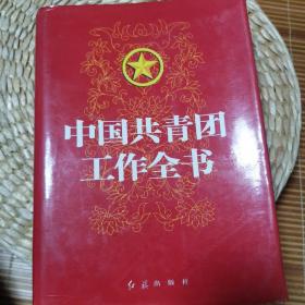 中国共青团工作全书