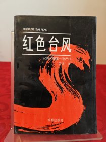 红色台风共和国严打纪实（一）