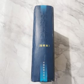 中华法学大辞典:简明本