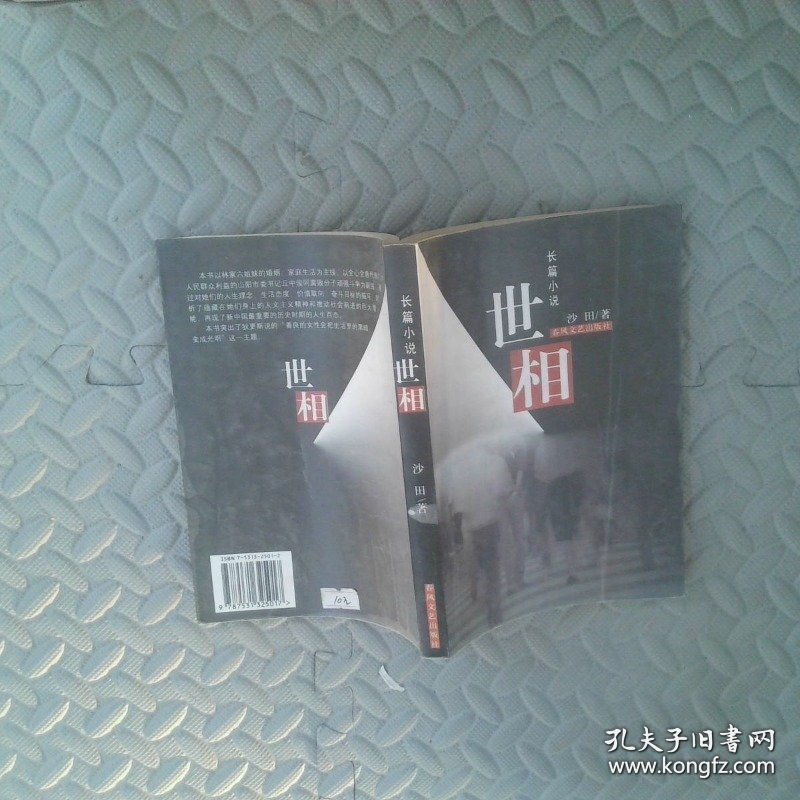 世相:长篇小说