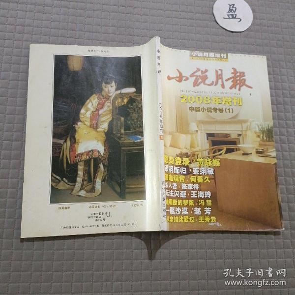 小说月报2008年增刊