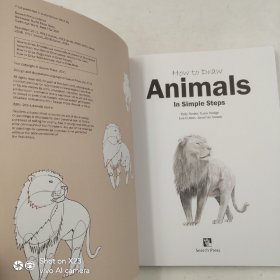 How to Draw: Animals: in simple steps