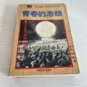 青春的浩劫:来自东方神坛的档案