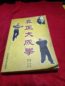 真正大成拳