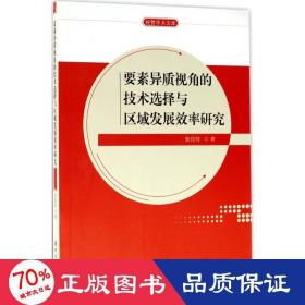 要素异质视角的技术选择与区域发展效率研究/经管学术文库