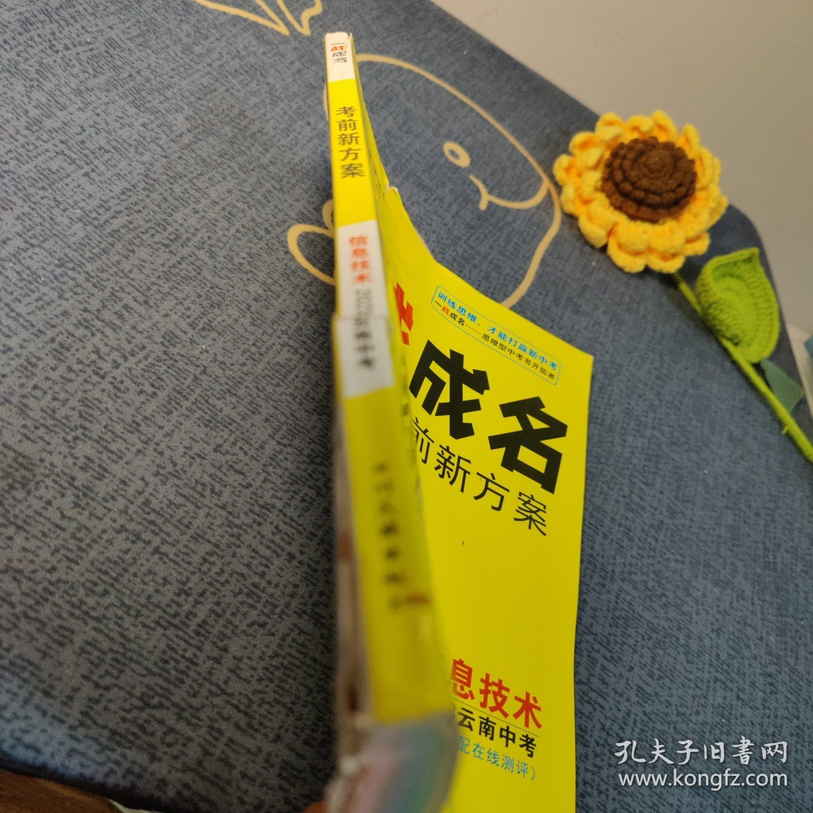 一战成名 考前新方案 信息技术 2023云南中考
