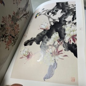 吴湛圆花鸟作品集