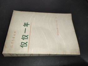 仅仅一年