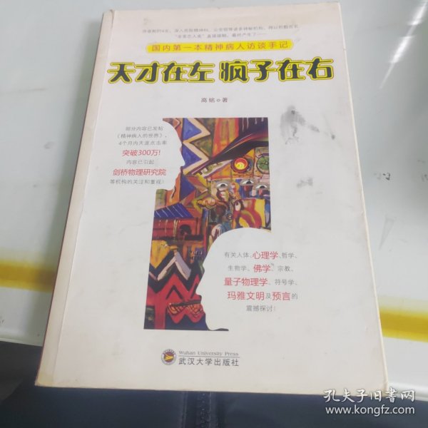 天才在左 疯子在右：国内第一本精神病人访谈手记