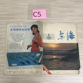 车海1981年1