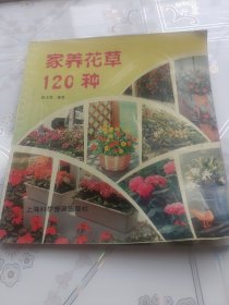 家养花草120种