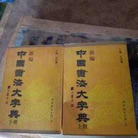 新編中國書法大字典上下全