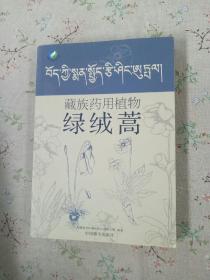 藏族药用植物~绿绒蒿(藏汉对照)