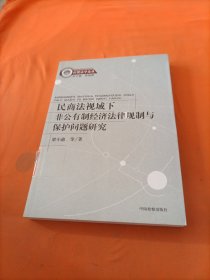 民商法视域下非公有制经济法律规制与保护问题研究