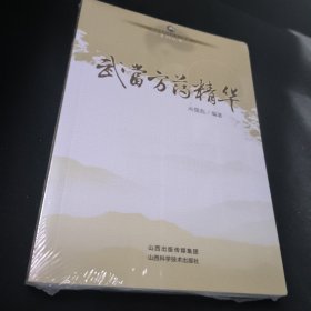 武当道医临证灵方妙法系列丛书：武当方药精华
