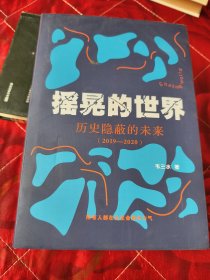 摇晃的世界历史隐蔽的未来