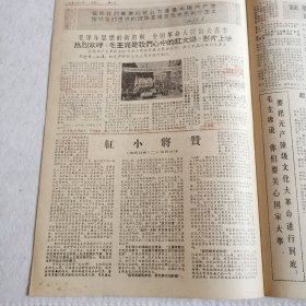 宜昌报（1967年5月1日第20期）