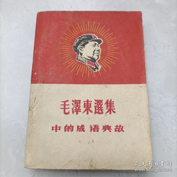 毛主席头像《毛泽东选集》中的成语典故