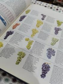 The World Atlas of Wine: A Complete Guide to the Wines and Spirits of the World