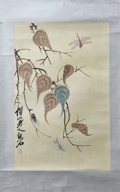 镜心 贝叶草虫