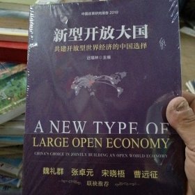 新型开放大国：共建开放型世界经济的中国选择