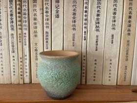 肉植盆栽 古典花盆 手工艺品