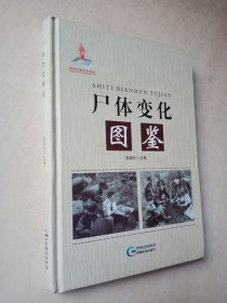 尸体变化图鉴