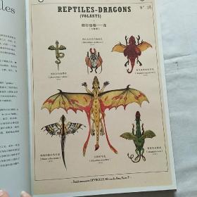 博物学家的神秘动物图鉴