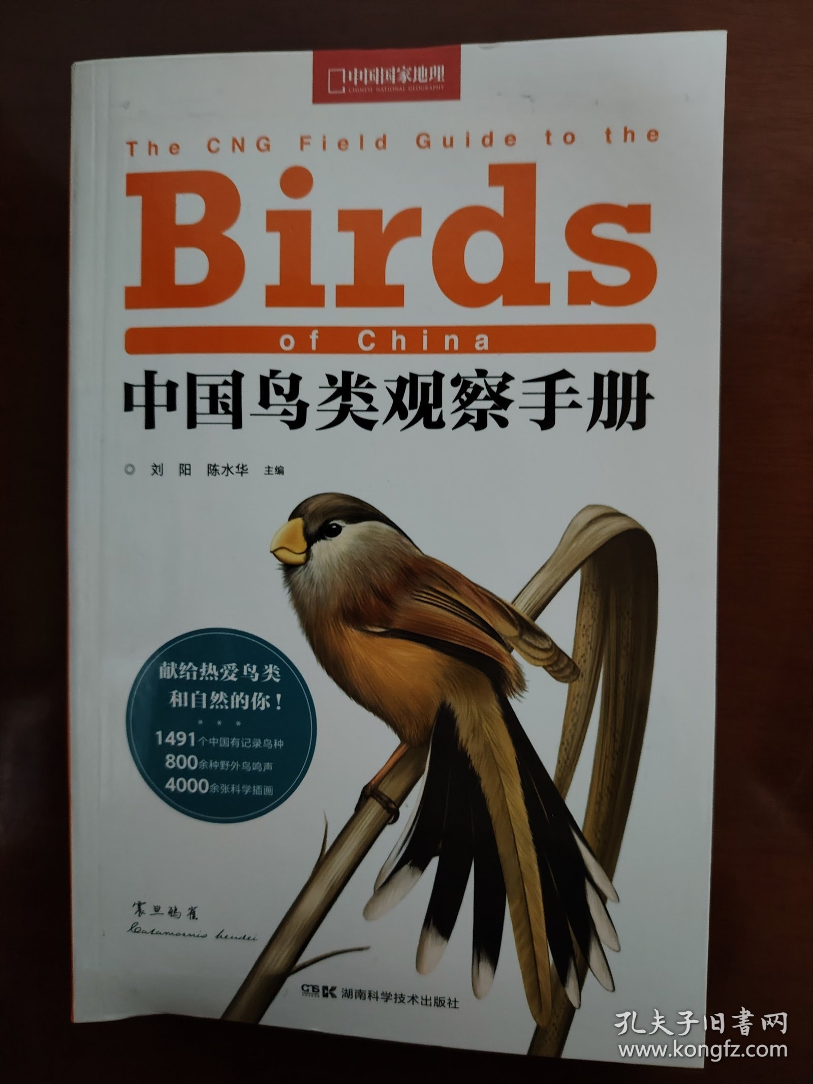 中国鸟类观察手册：赠送超写实大师级装帧画（鸳鸯！雕鸮！猎隼！双角犀鸟！）