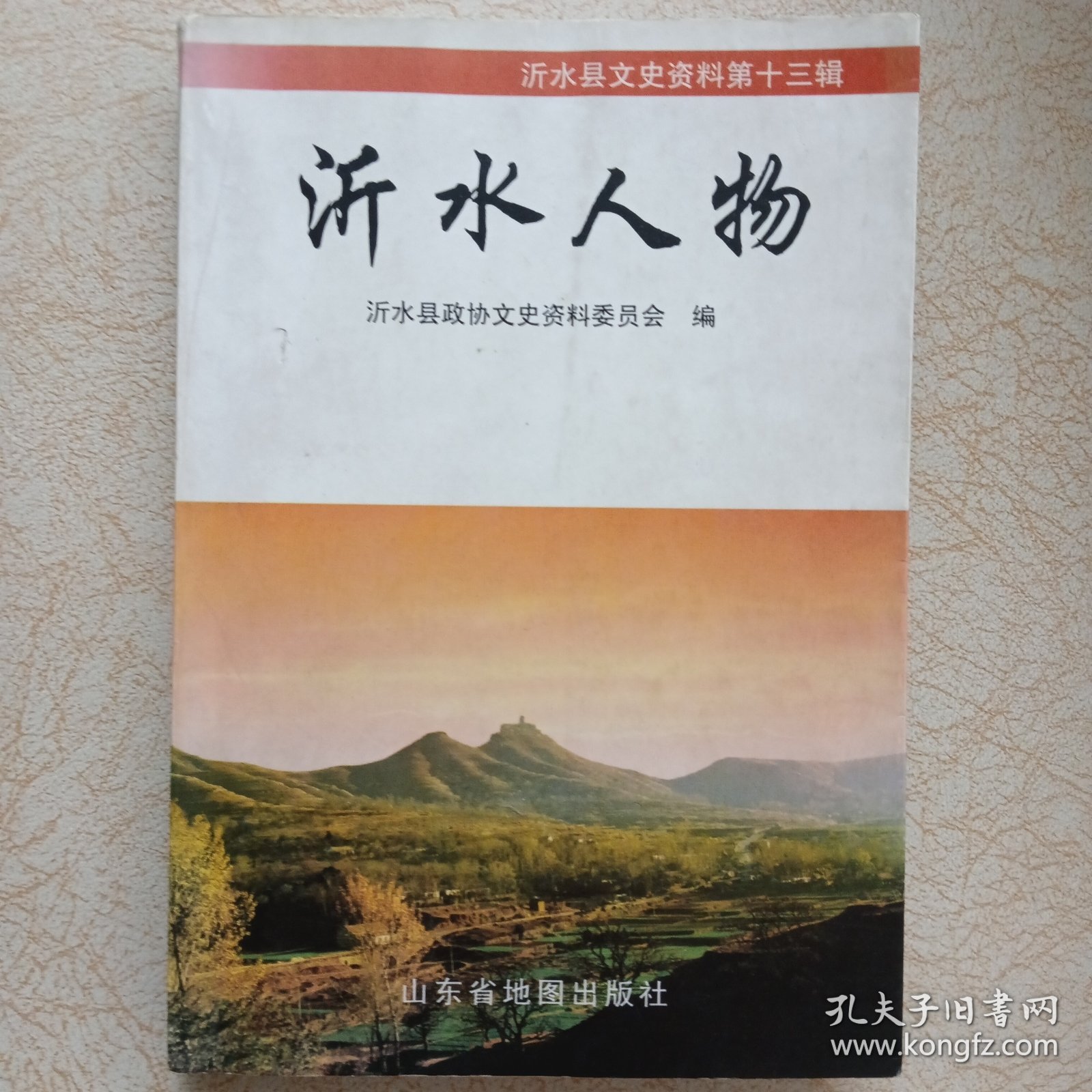 沂水人物（沂水县政协文史资料十三辑）