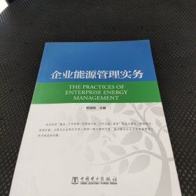 企业能源管理实务