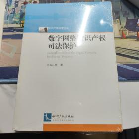 数字网络知识产权司法保护